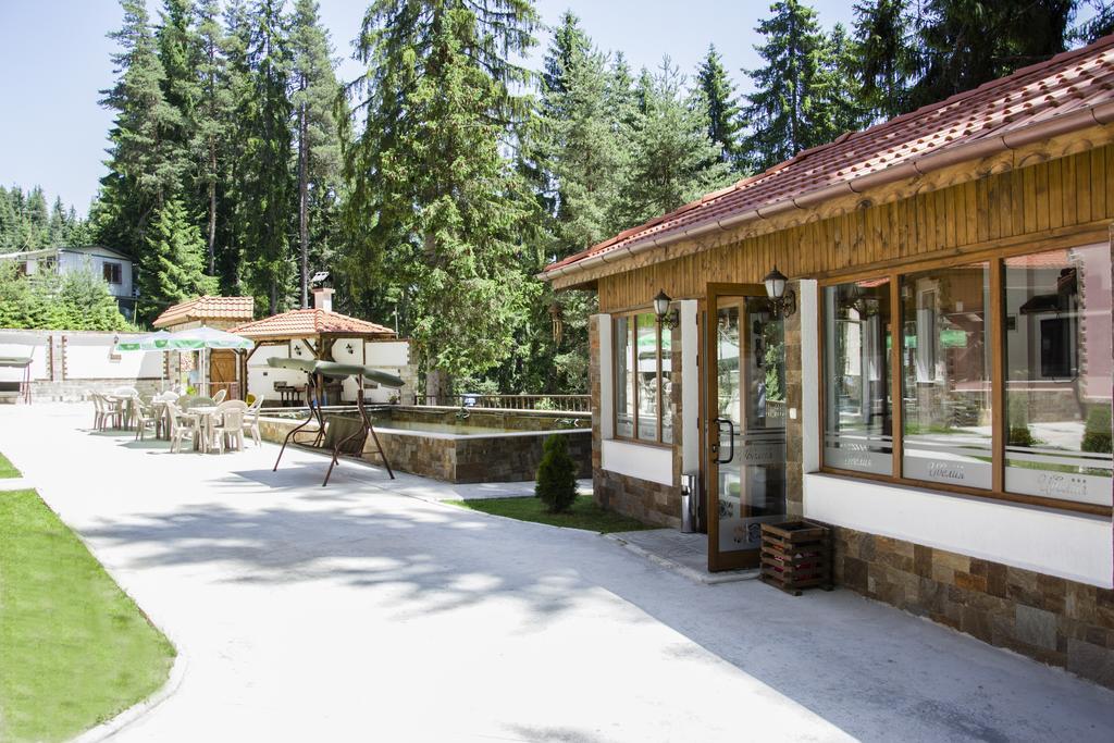 Ивелия Къща За Гости Dospat Exterior photo